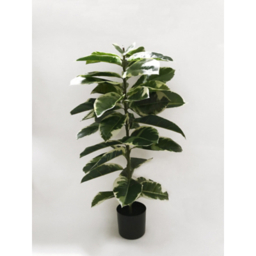 Artificial Rubber Plant in Black Pot 1.1m