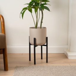 Scottish Everlasting Beige Planter on Black Stand