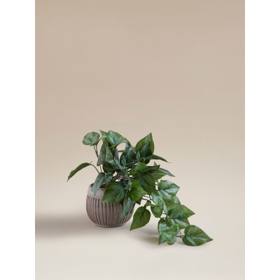 Green Artificial Trailing Leaf In Ceramic Pot