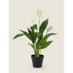 Green Real Touch Artificial Peace Lily 60cm