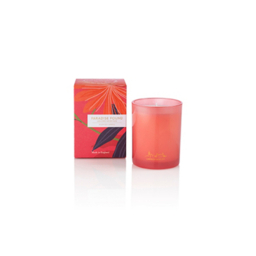 London Wax Co Paradise Found 1 Wick Candle
