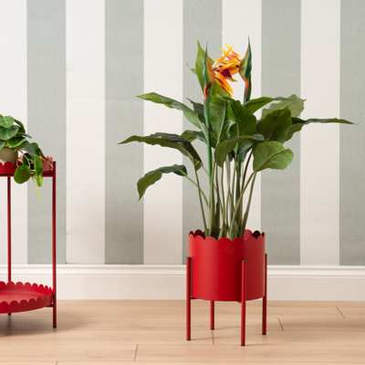 Scottish Everlasting Red Scallop Planter on Stand