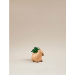 Artificial Succulent in Capybara Shaped Pot