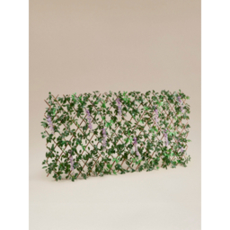 Topiary Wisteria Trellis