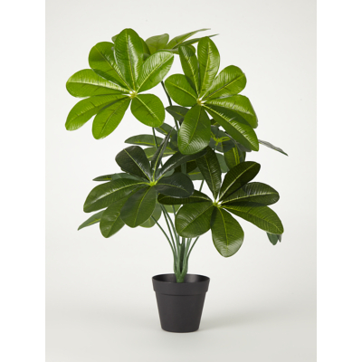 Artificial Umbrella Plant 60cm