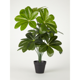 Artificial Umbrella Plant 60cm