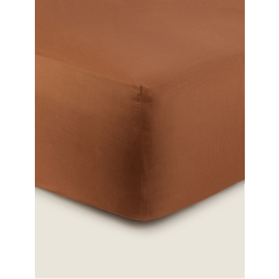 Brown Plain Fitted Sheet