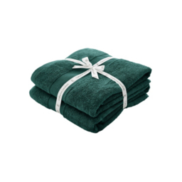 Catherine Lansfield Forest Green Antibacterial Bath Sheet - Set of 2