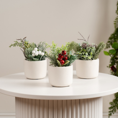 Scottish Everlastings Set of 3 17cm Christmas Plants