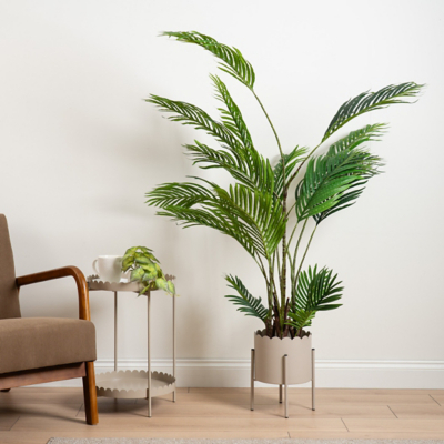 Scottish Everlasting Beige Scallop Planter on Stand