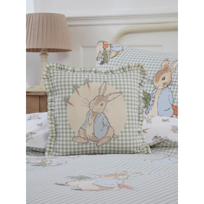 Peter Rabbit Gingham Cushion