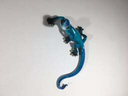 Blue Gecko Wall Decor - Small