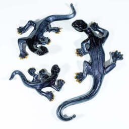 Brushed Black Gecko - AluminArk Collection - 3 Sizes - thumbnail 4