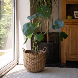 Banar Handwoven Seagrass Basket Set of 2 - Natural & Bleached Storage Baskets - thumbnail 4