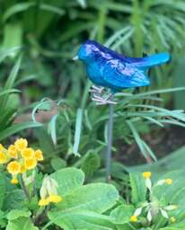 Garden Robin on Stake - Brushed Metal Bird - AluminArk Collection - 4 Colours - Aqua