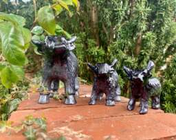 Highland Cow Figure Brushed Black - AluminArk Collection - 3 Sizes - thumbnail 3