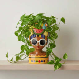 Melon and Blue Bird Hat Lady Pot with Oversized Sunglasses - thumbnail 2
