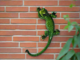 Green Gecko Wall Decor - Small - thumbnail 3