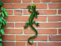 Green Gecko Wall Decor - Large - thumbnail 3