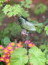 Garden Robin on Stake - Brushed Metal Bird - AluminArk Collection - 4 Colours - thumbnail 4