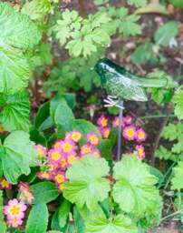 Garden Robin on Stake - Brushed Metal Bird - AluminArk Collection - 4 Colours - thumbnail 6
