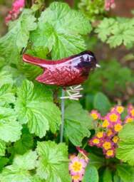 Garden Robin on Stake - Brushed Metal Bird - AluminArk Collection - 4 Colours - thumbnail 5