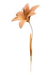 Lily metal garden flower 125cm - thumbnail 1