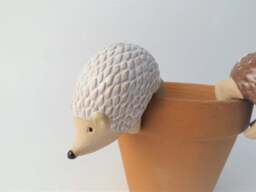 Hedgehog Pot Planter Pair - thumbnail 2