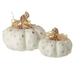 Textured White Pumpkins - Set of Two - thumbnail 1