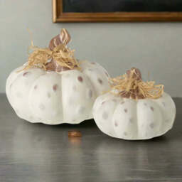 Textured White Pumpkins - Set of Two - thumbnail 2