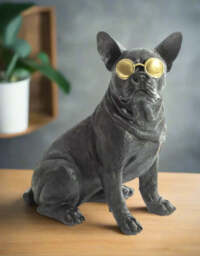 "Large ""Funky Frenchie"" Sitting Bulldog Figure" - thumbnail 2