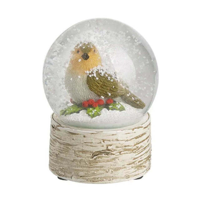 Robin Snow Globe