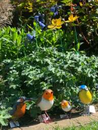 Garden Birds Blue Tit - RSPB Garden Bird Statues - thumbnail 3