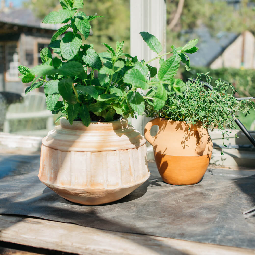 Graham and Green Dolores Clay Urn Planter