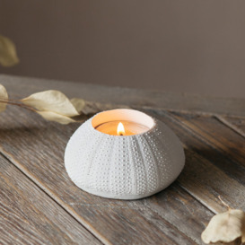 Graham and Green White Urchin Candle Holder