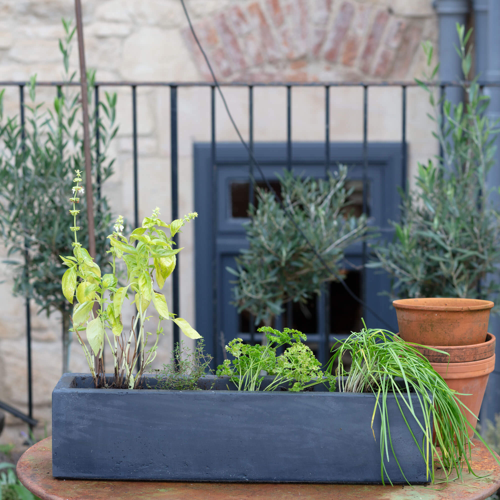 Graham and Green Grey Oblong Planter