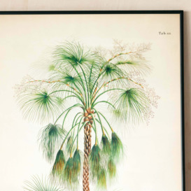Graham and Green Medium Framed Exotic Palm Print - thumbnail 2