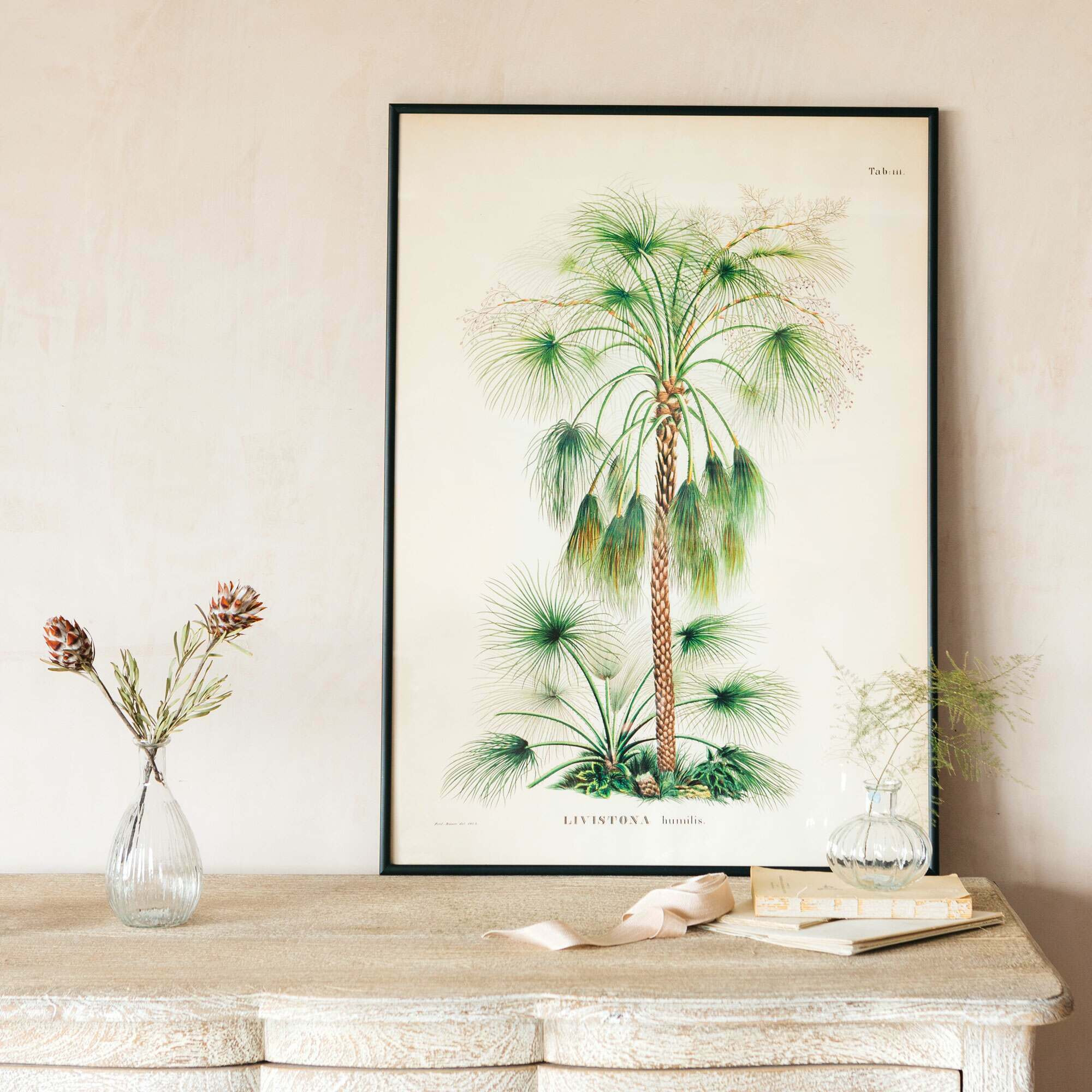 Graham and Green Medium Framed Exotic Palm Print - image 1
