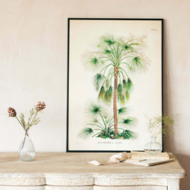 Graham and Green Medium Framed Exotic Palm Print - thumbnail 1