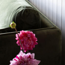 Graham and Green Bayler Moss Green Three Seater Sofa - thumbnail 5