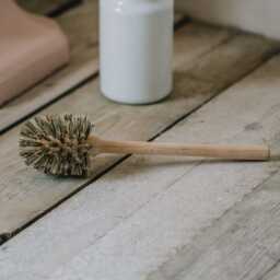 Graham and Green Replacement Toilet Brush