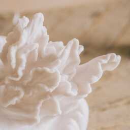 Graham and Green Jellyfish Table Lamp - thumbnail 4