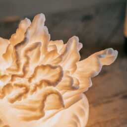 Graham and Green Jellyfish Table Lamp - thumbnail 3