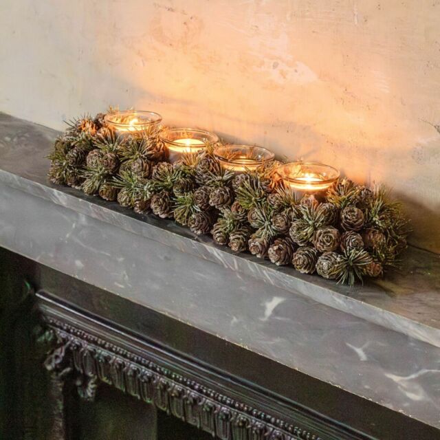 Graham and Green Long Frosted Pinecone Candle Holder - image 1