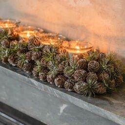 Graham and Green Long Frosted Pinecone Candle Holder - thumbnail 4