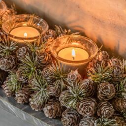 Graham and Green Long Frosted Pinecone Candle Holder - thumbnail 5