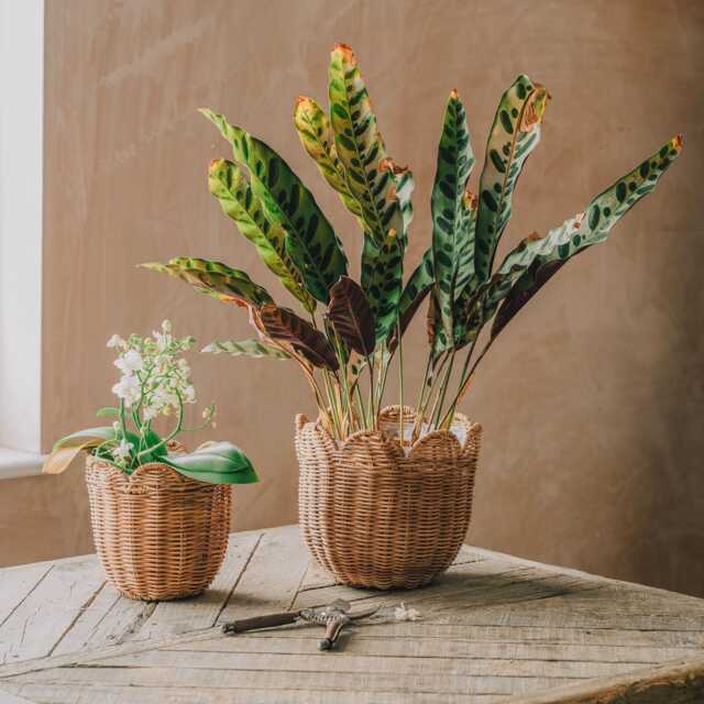 Graham and Green Set of Two Woven Petal Planters - image 1