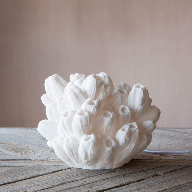 Graham and Green Arbuscular Coral Lamp - image 1