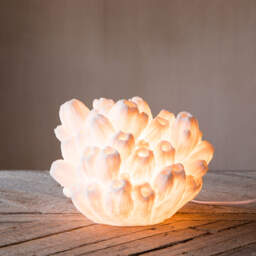 Graham and Green Arbuscular Coral Lamp - thumbnail 2