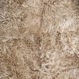 Graham and Green Oyster Single Sheepskin - thumbnail 2